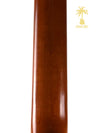 PRE-OWNED SEAGULL S6 GT A/E - SUNBURST