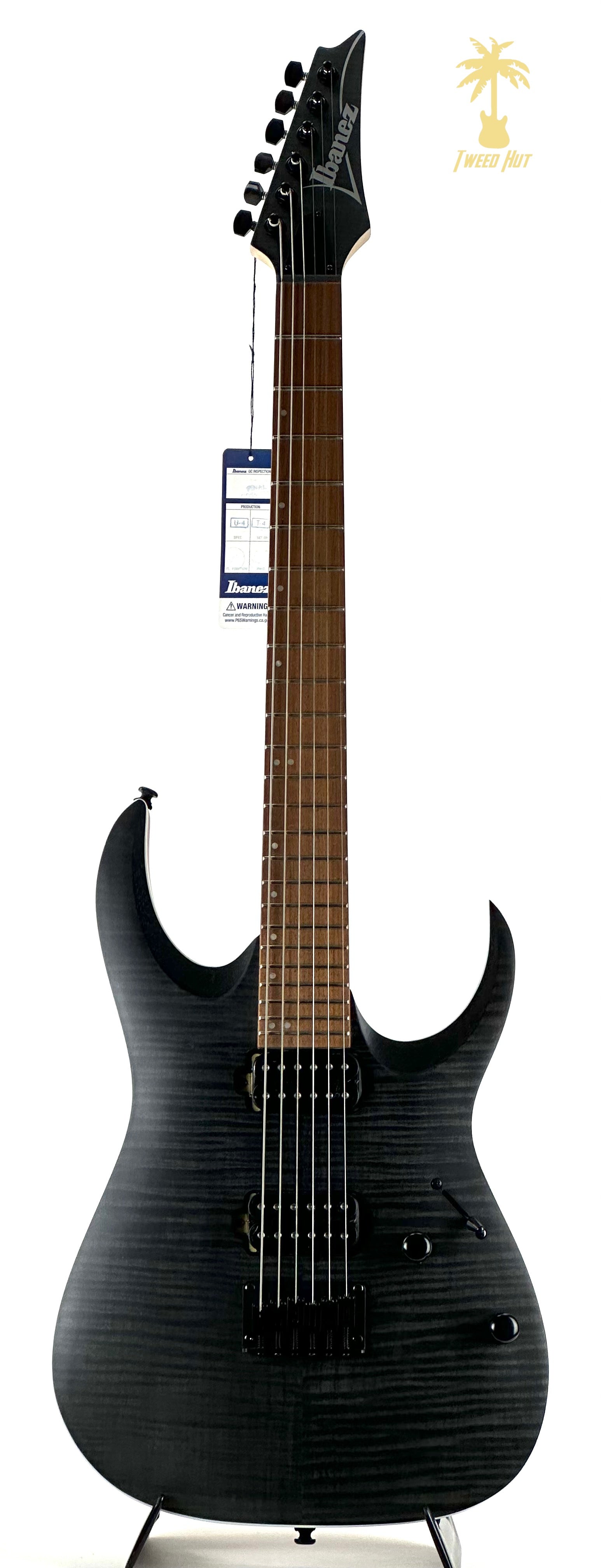 IBANEZ RGA42 TRANSPARENT GRAY FLAT