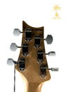 PRS SILVER SKY FROST