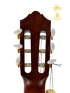 YAMAHA CG162C CEDAR TOP CLASSICAL GUITAR NATURAL
