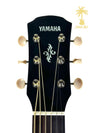 YAMAHA APXT2EW 3/4 SIZE A/E EXOTIC WOOD