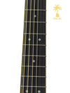 YAMAHA APX700II-12E 12 STRING BLACK