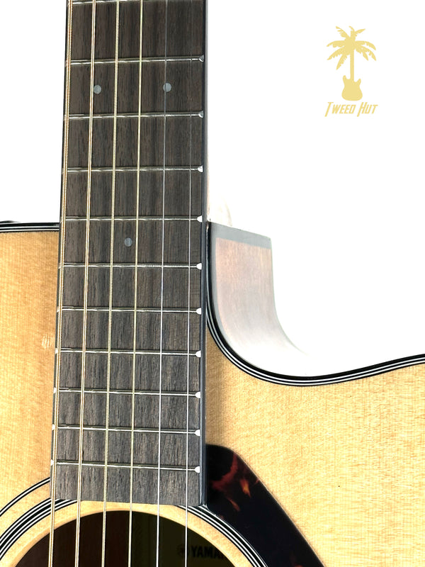 YAMAHA FSX800C A/E CUTAWAY CONCERT