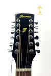 IBANEZ PERFORMANCE SERIES PF1512 12-STRING ACOUSTIC GUITAR-NATURAL