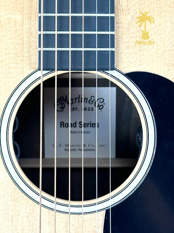 MARTIN D-13E-01 NATURAL