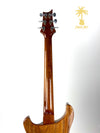 PRS SPECIAL SEMI-HOLLOW IN PURPLE IRIS